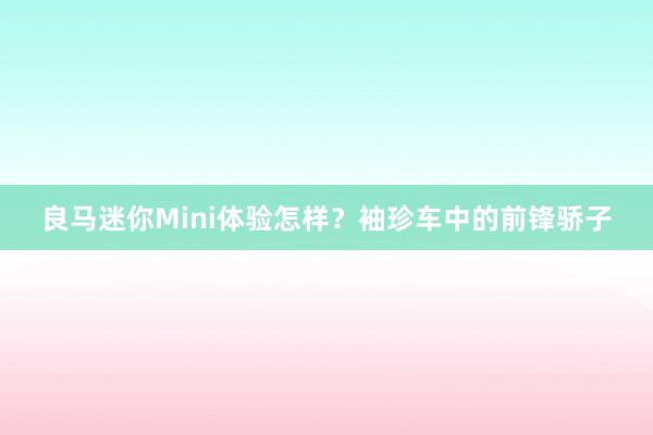 良马迷你Mini体验怎样？袖珍车中的前锋骄子